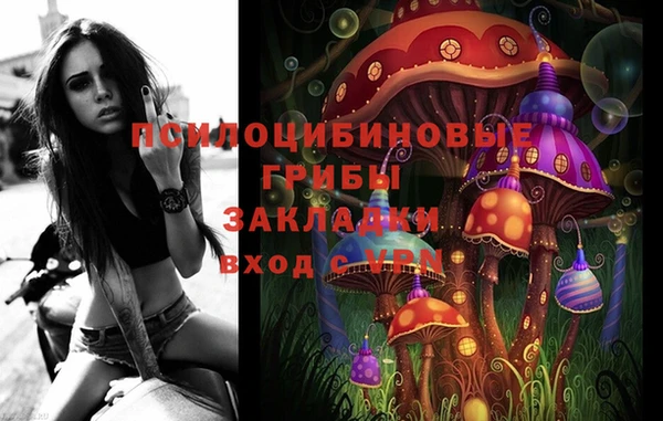 прущие грибы Алзамай
