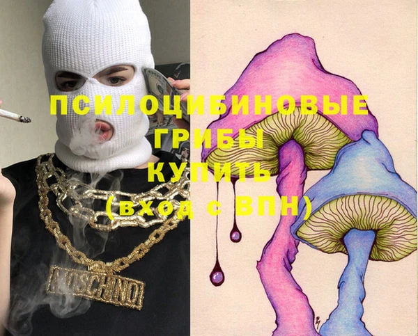 прущие грибы Алзамай
