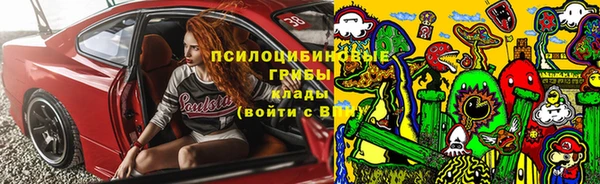 спайс Алексин