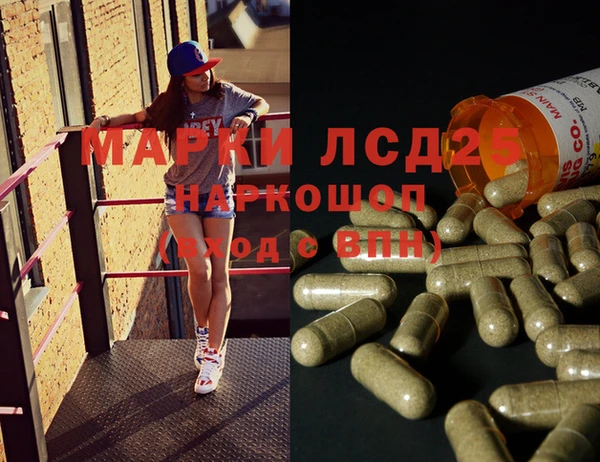 прущие грибы Алзамай